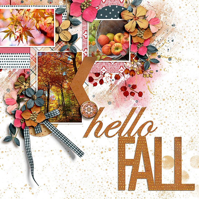 SOSN_sept6_LG_SwL_Hello Fall