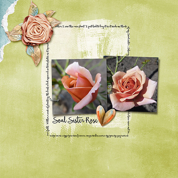 Soul-Sister-Rose