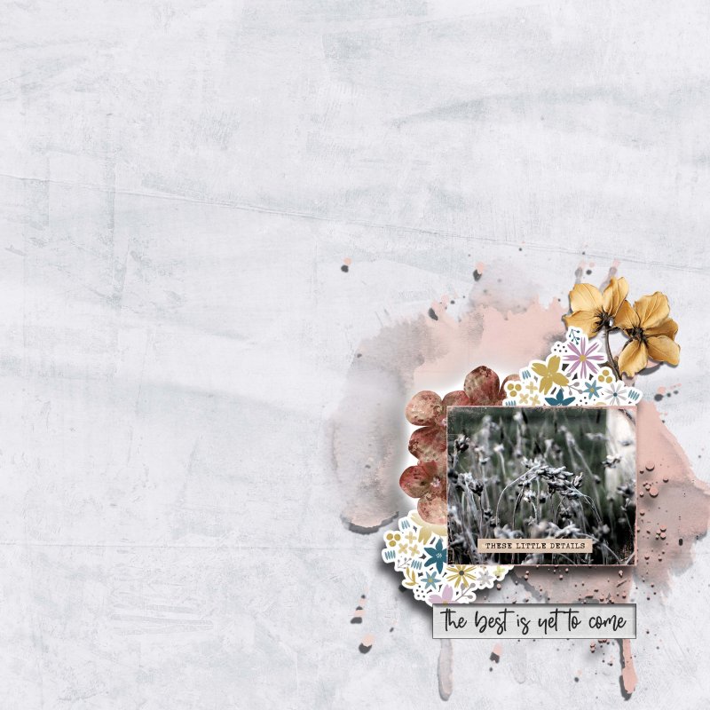Space And Flowers
