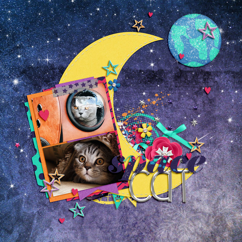 Space Cat