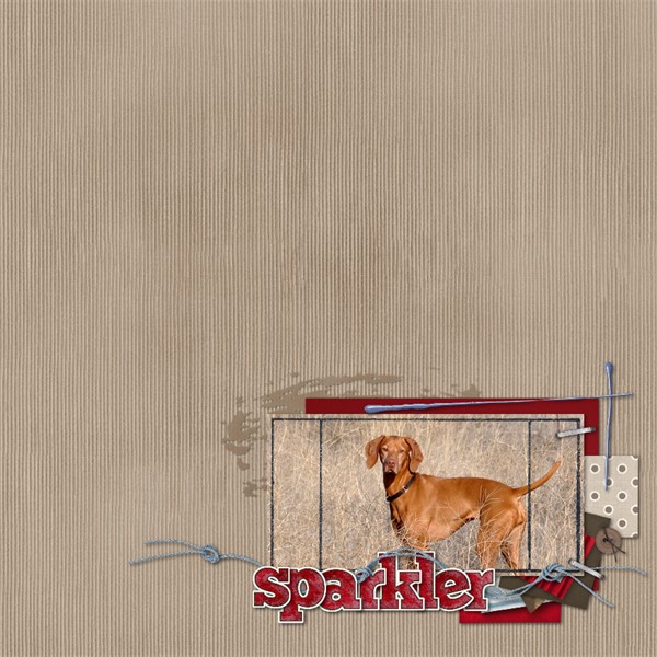 Sparkler