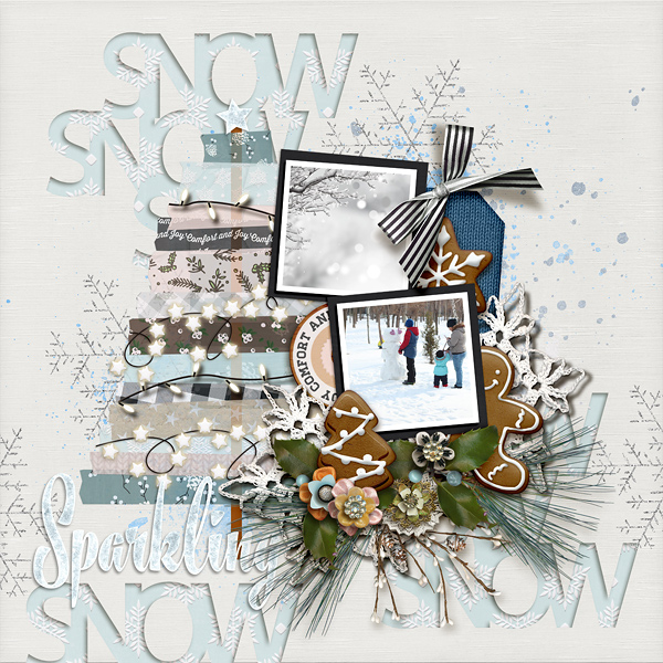 Sparkling Snow