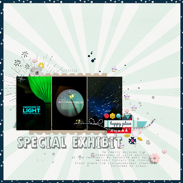 Special Exhibit