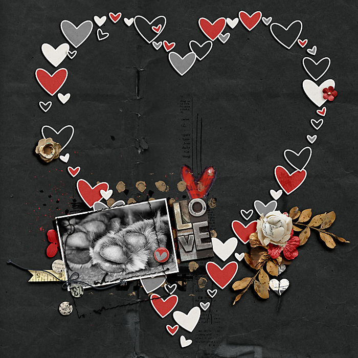 Special Kind of Love
