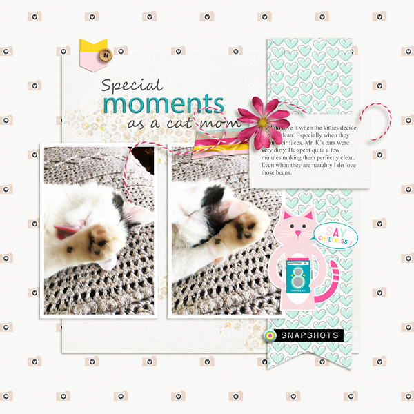 Special Moments