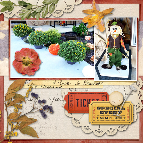 Special Saturday - Sale in The Lilypad Store.
