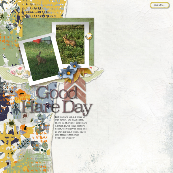 Speedscrap: Good Hare Day