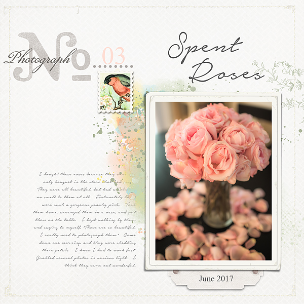 Spent Roses