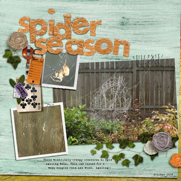 Spider Season