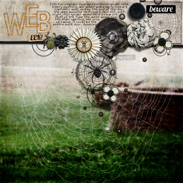 spider web