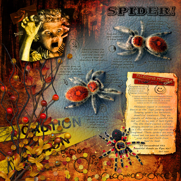 "Spider!"