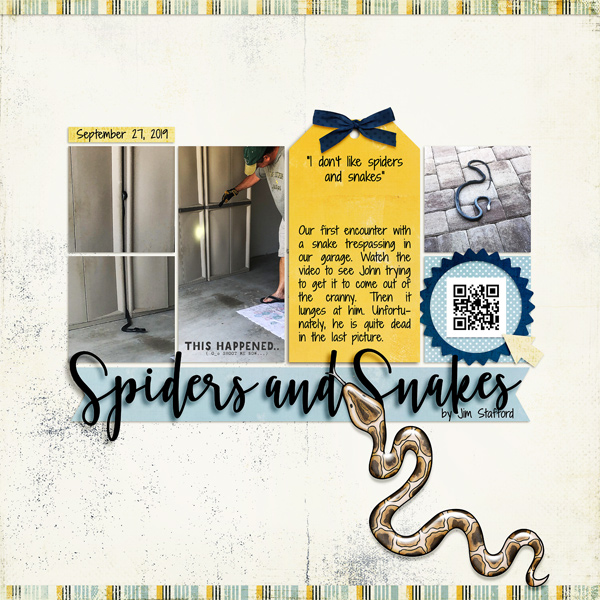 Spiders & Snakes