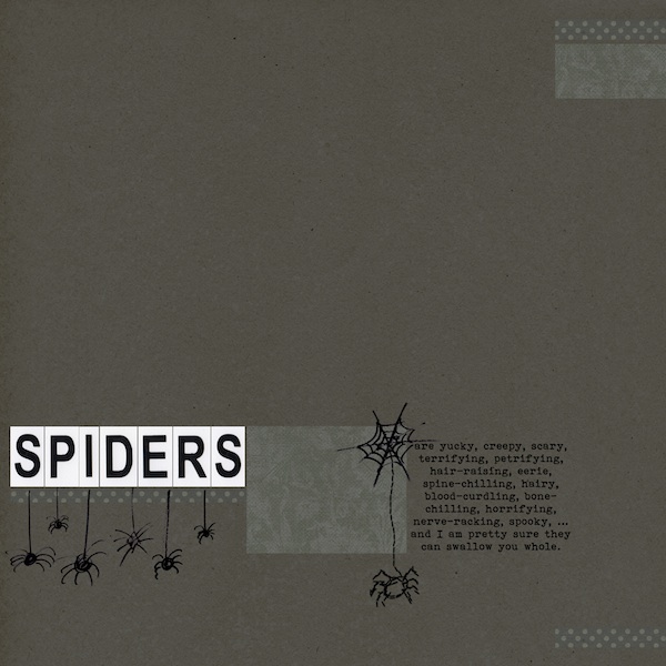 Spiders