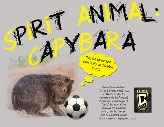 Spirit-Animal