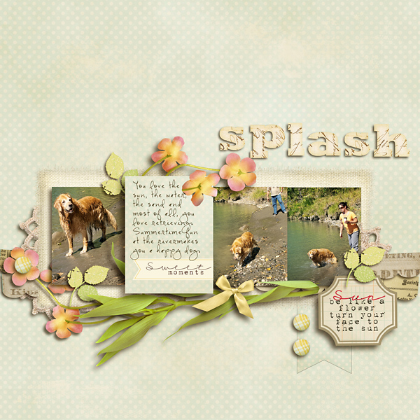 Splash