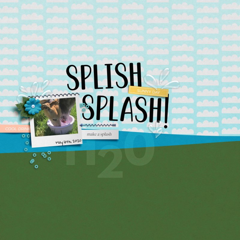 Splis Splash - PHOTOGRAPHY Challenge