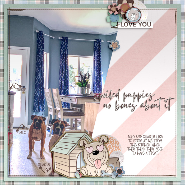 Spoiled Puppies