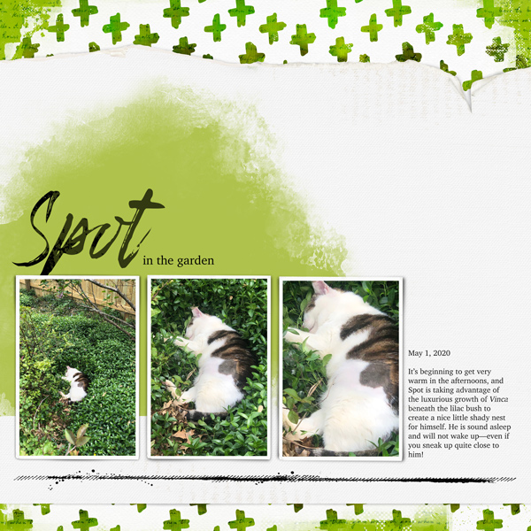 Spot in the garden