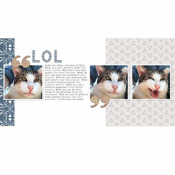 Spot's Cat Jokes