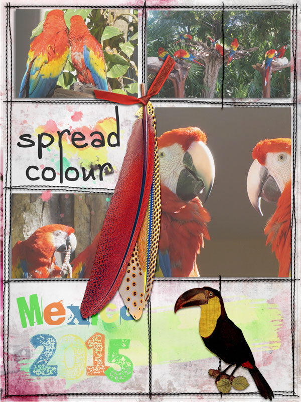 Spread Color