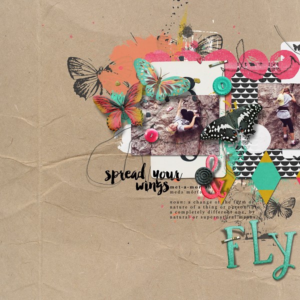Spread your wings and fly