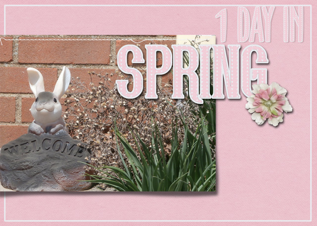 Spring-(6)