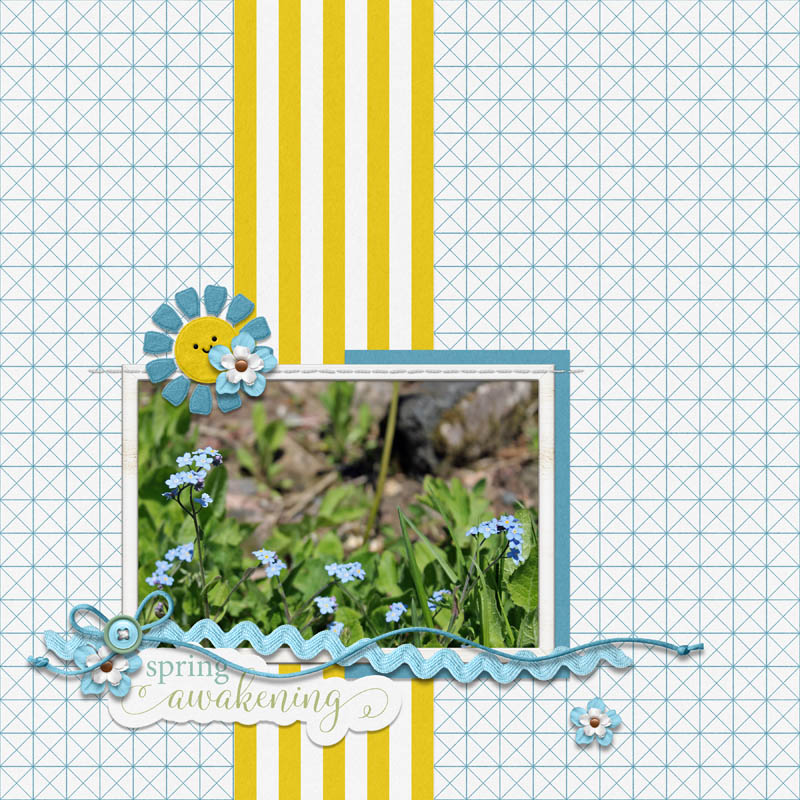 Spring Awakening