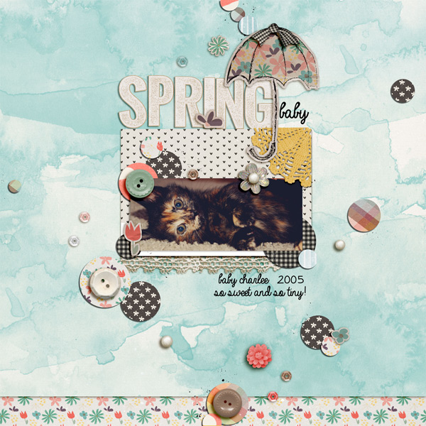 Spring Baby