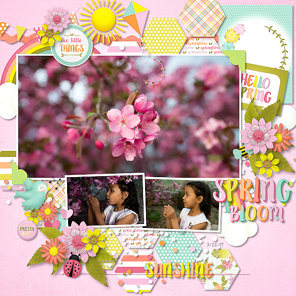 Spring Bloom