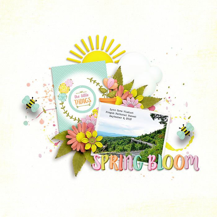 Spring Bloom