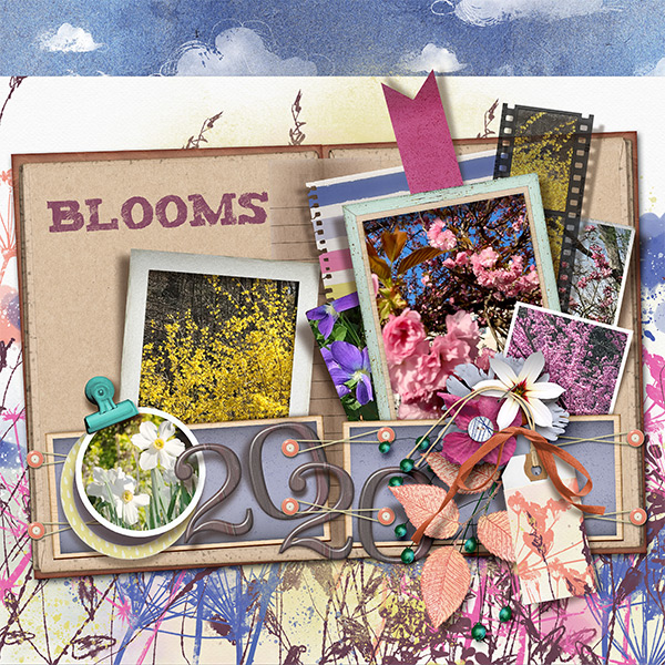 Spring Blooms 2020