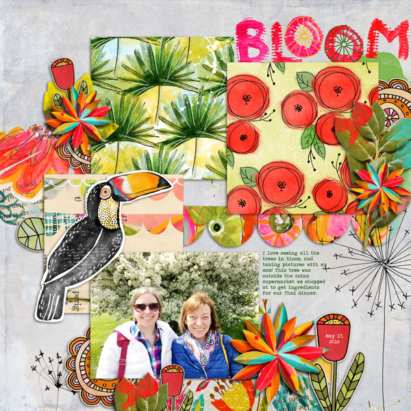 Spring Blooms
