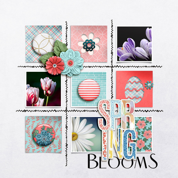 Spring Blooms