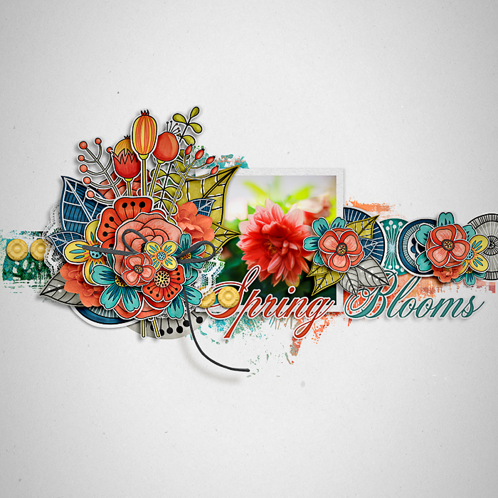 Spring Blooms