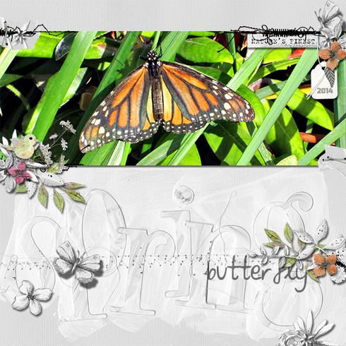 Spring Butterfly