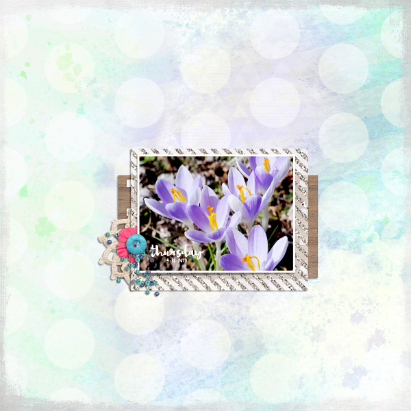 Spring Coming