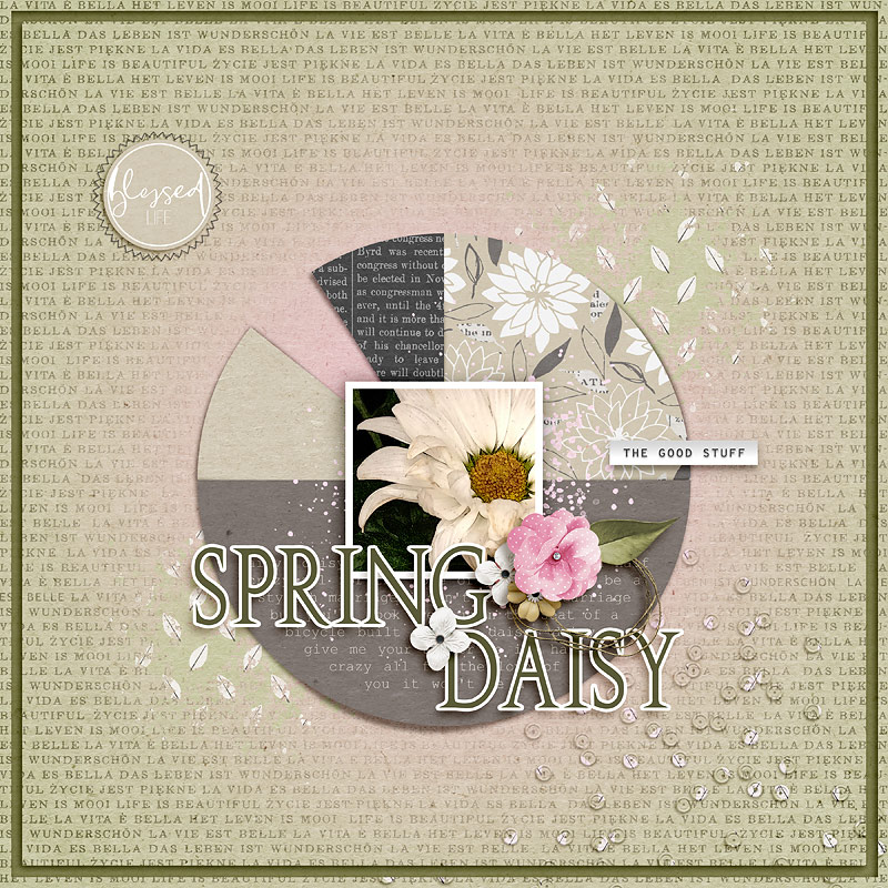 Spring Daisy