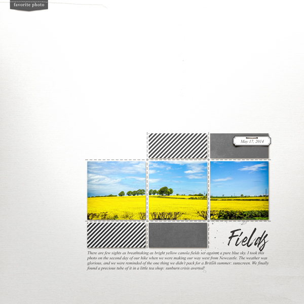 Spring-fields