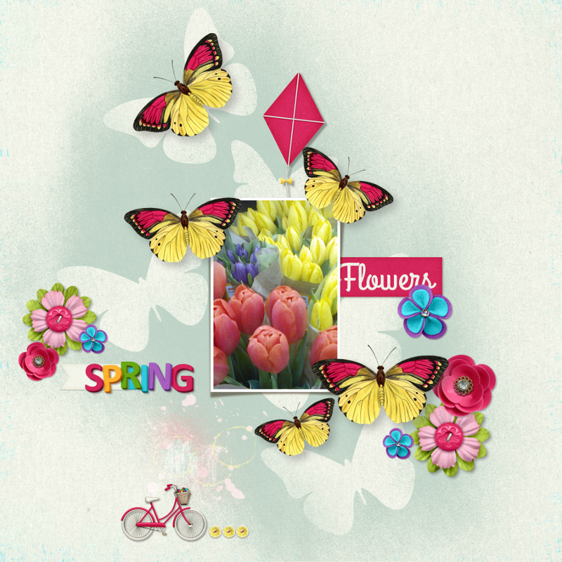 Spring Flower