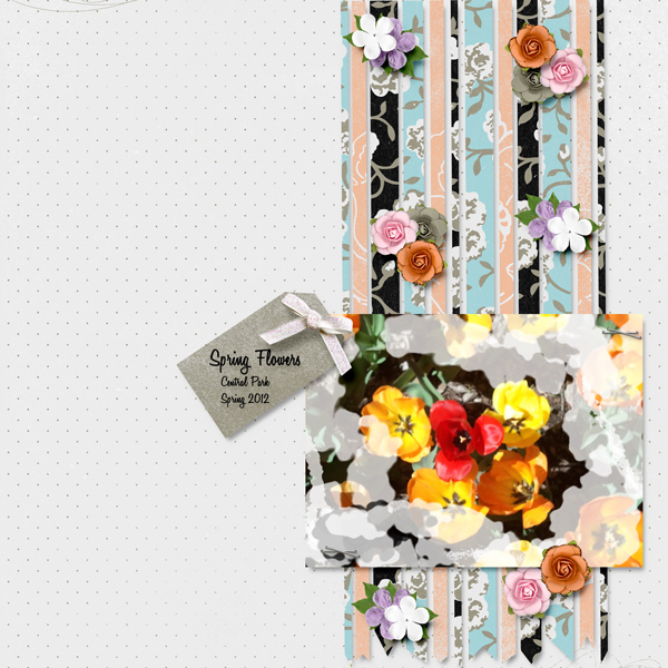 Spring Flowers