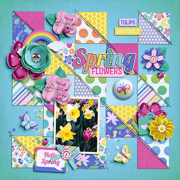 Spring Flowers