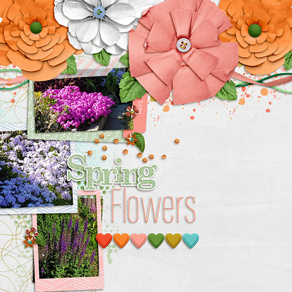 Spring Flowers