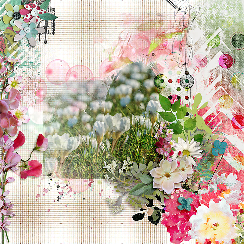 Spring Flowers