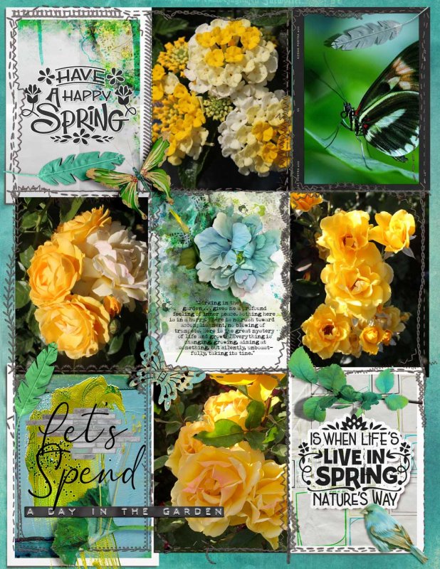 Spring Flowers