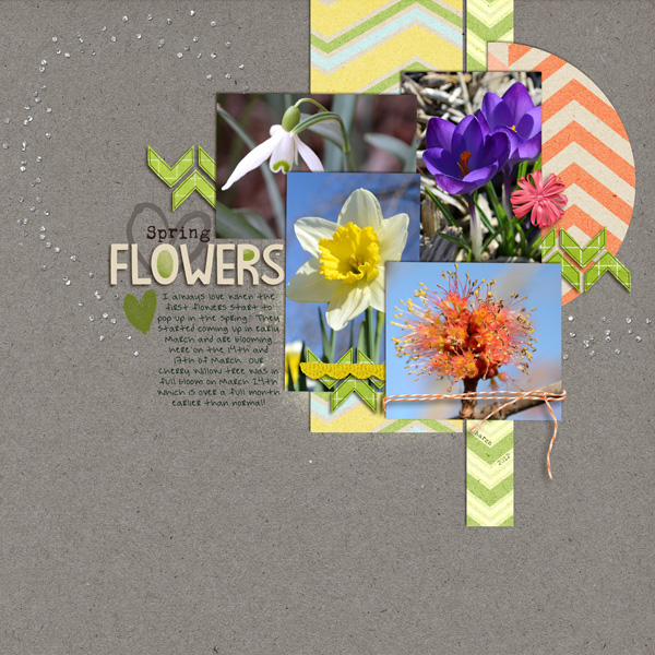 Spring Flowers