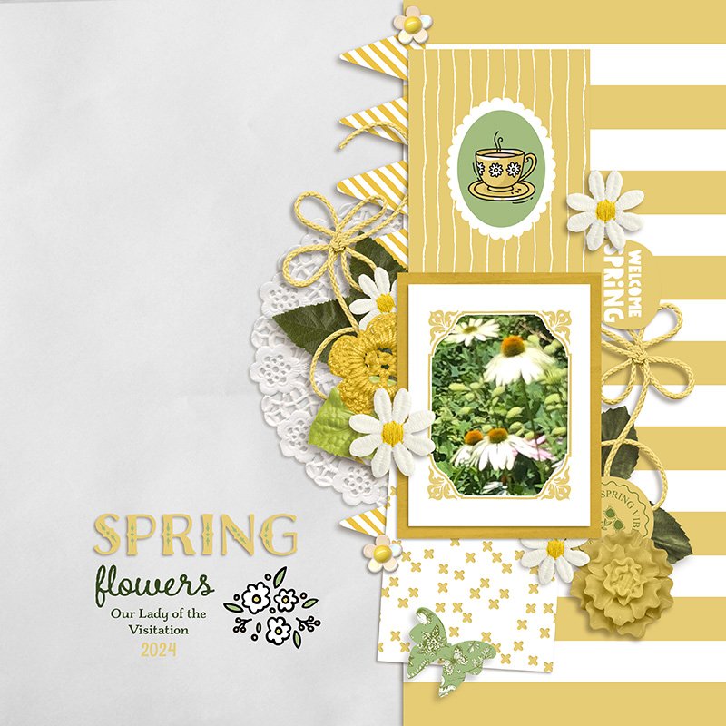 Spring Flowers