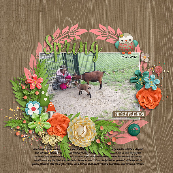 Spring - Furry Friends