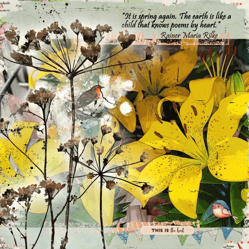 Spring-Has-Sprung-at-Long-Last