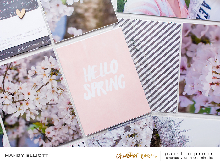 Spring Has Sprung |Details