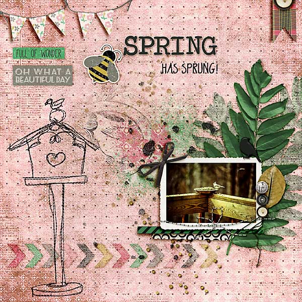 Spring Has Sprung
